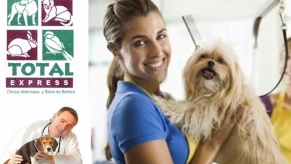 [Imagen:¡Paga Q89 en lugar de Q270 por grooming completo (baño, corte de pelo, corte de uñas, limpieza de glándulas y oídos) + tratamiento anti pulgas + consulta veterinaria en Total Express Clínica Veterinaria y Salón de Belleza!]