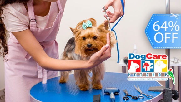 [Imagen:¡Paga Q99 en vez de Q275 por Grooming para tu Mascota: Baño Antipulgas + Corte + Cepillado + Limpieza de Glándulas + Corte y Limado de Uñas + Limpieza y Depilación de Oídos + Pipeta Antipulgas y Garrapatas + Desparasitante! ¡Razas Pequeñas- Medianas!]