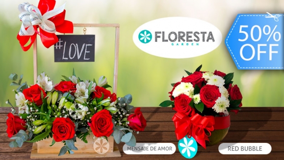 [Imagen:¡Paga Q225 en lugar de Q450 por Romántico Arreglo Floral a Elección entre: Red Bubble (12 rosas, astromelias en base de cristal) o Mensaje de Amor (12 rosas, astromelias en base de madera con pizzarra colgante)!]
