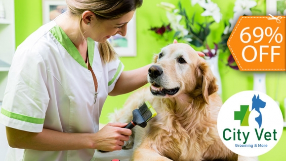 [Imagen:¡Paga $10 en Lugar de $32 por Grooming para Mascota: Baño + Limpieza de Oídos + Limpieza de Glándulas Anales + Corte o Limado de Uñas + Desparasitante + Cepillado de Dientes + Juguete + Pañoleta o Moño + Perfumado!]