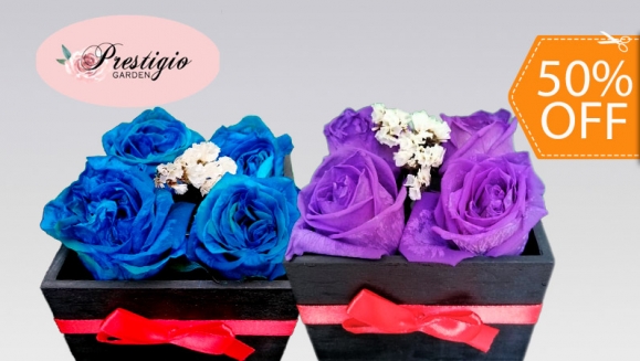 [Imagen:¡Paga $21 en Lugar de $42 por Hermoso Arreglo de 4 Rosas Preservadas!]