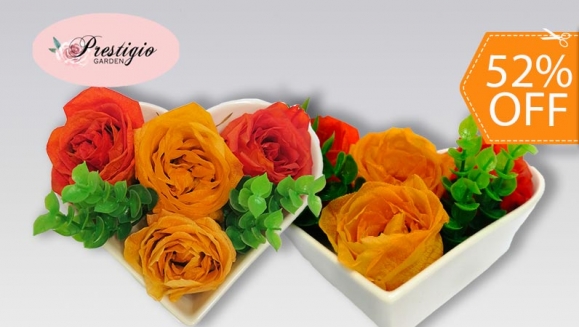 [Imagen:¡Paga $23 en Lugar de $48 por Hermoso Arreglo de 4 Rosas Preservadas en Base de Corazón!]