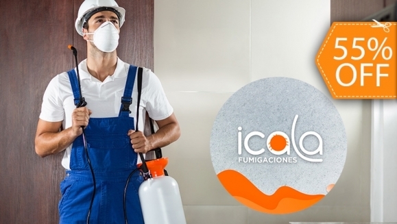 [Imagen:¡Paga $18 en Lugar de $40 por Fumigación de Plagas de Insectos Voladores y Rastreros: Zancudos, Hormigas, Cucarachas, Arañas, Mosquitos, Ratas, Garrapatas y Pulgas!]