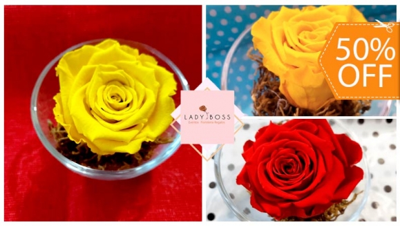[Imagen:¡Paga $20 en Lugar de $40 por Delicada Rosa Preservada en Base de Vidrio!]
