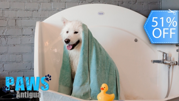 [Imagen:¡Sin Restricción de Tamaño! ¡Paga Q235 en Vez de Q480 por Grooming para Tu Mascota: Pipeta Anti-Pulgas + Baño Anti-Garrapatas + Corte de Pelo y Uñas + Cepillado de Dientes + Limpieza de Glándulas y Oídos + Desparasitante y Consulta Veterinaria y Más!]