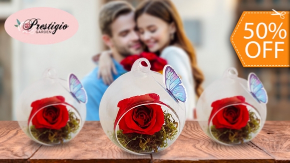 [Imagen:¡Paga $12 en Lugar de $24 por Lindo Arreglo de 1 Rosa Preservada en Esfera de Cristal!]