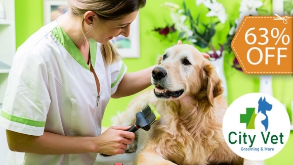 [Imagen:¡Paga $12 en Lugar de $32 por Grooming para Mascota: Baño + Limpieza de Oídos + Limpieza de Glándulas Anales + Limado o Corte de Uñas + Desparasitante + Cepillado de Dientes + Pañoleta o Moño + Perfumado!]