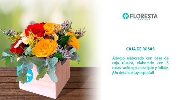 [Imagen:¡Paga Q125 en lugar de Q250 por Detalle Floral a Elección entre: Luz de Amor (5 rosas sobre candelero de cristal) o Caja de Rosas (5 rosas en caja de madera rustica)!]
