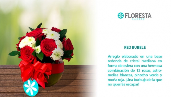 [Imagen:¡Paga Q225 en lugar de Q450 por Romántico Arreglo Floral a Elección entre: Red Bubble (12 rosas, astromelias en base de cristal) o Mensaje de Amor (12 rosas, astromelias en base de madera con pizzarra colgante)!]