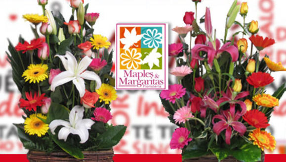 [Imagen:¡Demuéstrale tu amor a mamá! ¡Paga Q180 en lugar de Q360 por arreglo floral  “Jardinera Extravagante” en  Floristería Maples y Margaritas!]