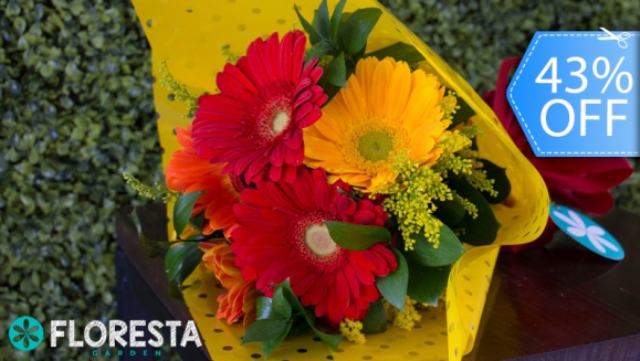 [Imagen:¡Paga Q99 en Lugar de Q175 por Ramo de 6 Gerberas de Colores a Elección Decoradas con Papel Fino!]