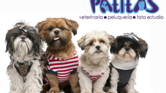 [Imagen:¡Paga $14 en lugar de $35 por Paquete para tu Mascota: Cambio de Look + 2 fotos profesionales en Foto-estudio + Medalla personalizada + Desparasitante + Sesión de baño en segunda visita en Patitas Veterinaria!]