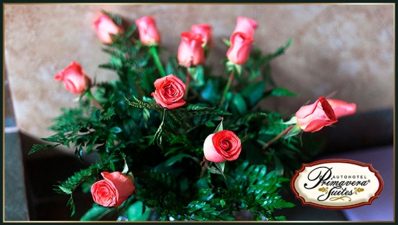 [Imagen:¡Romántica Experiencia! ¡Paga Q295 en vez de Q585 por 4 Horas de Alojamiento en Suite de Lujo con Jacuzzi e Hidromasaje + Decoración Deluxe: 1 Docena de Rosas, Velas, Aromaterapia, Baño de Espuma, Globos Rojos + Q50 de Descuento en tu Próxima Visita!]