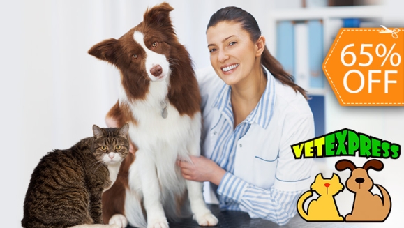 [Imagen:¡Paga $25 en Lugar de $71 por Consulta Veterinaria + Baño Medicado + Desparasitación Inyectada + Aplicación de Pipeta!]