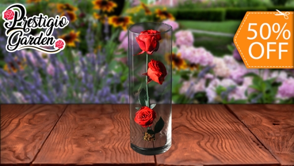 [Imagen:¡Paga $26 en Lugar de $52 por Elegante Arreglo de 3 Rosas Preservadas en Cápsula de Cristal!]