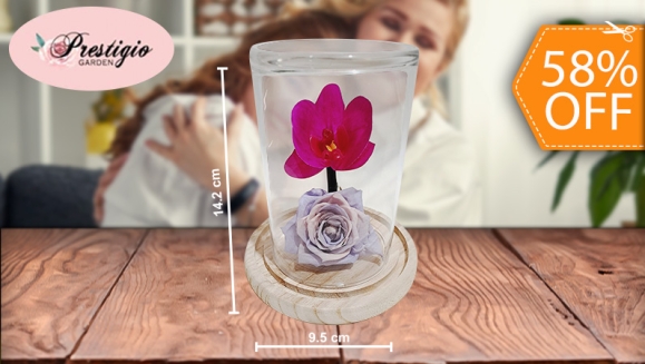 [Imagen:¡Paga $20 en Lugar de $48 por Hermosa Rosa Preservada en Capsula de Cristal con Base de Madera y Adornada con Orquídea Artificial!]