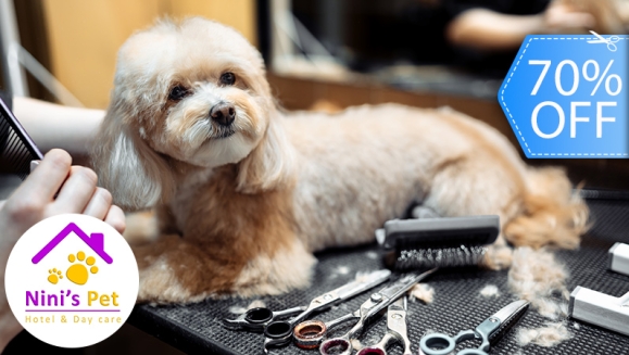 [Imagen:¡Paga Q99 en Lugar de Q335 por Grooming para Perros Pequeños: Baño Spa + Corte de Pelo (si lo requiere) + Corte y Limado de Uñas + Limpieza de Oídos + Humectación de Huellitas + Perfumado + Cepillado de Dientes + Pipeta Antipulgas + Pañuelo y Más!]