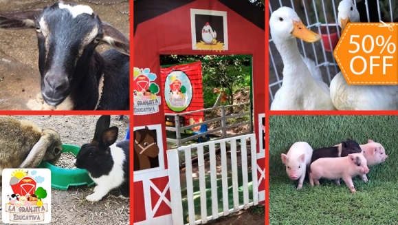 [Imagen:¡Paga $10 en Lugar de $20 por 4 Entradas a la Granjita Educativa “Mi Pet Zoo”: Visita a Los Corrales, Ordeño en Vaca Simuladora, Interacción con Cuyos, Conejos, Minipigs, Patos, Gallinas y Cabra, Comida para Los Animalitos y Playground!]