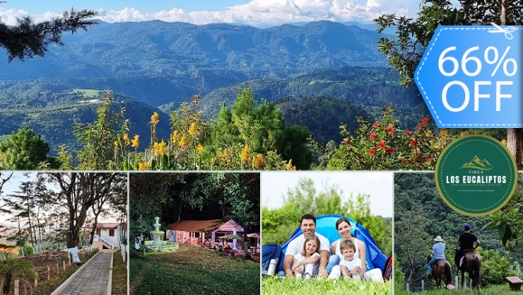 [Imagen:¡Paga Q99 en Lugar de Q295 por Camping para 4 con: 4 Desayunos Típicos o de Pancakes + 4 Bebidas a Elección (Café, Jugo de Naranja o Jamaica) + Uso de Instalaciones y Actividades de Montaña: Senderismo, Puentes, Hamacas, Granjita!]