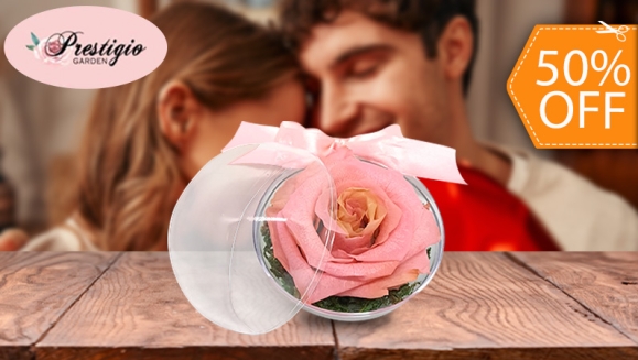 [Imagen:¡Paga $10 en Lugar de $20 por Rosa Mediana en Esfera Pequeña de Acrílico!]