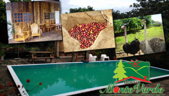 [Imagen:¡Paga $75 en vez de $150 por estadía para 4 personas en cabaña + 4 desayunos + uso de las instalaciones + fogata + caminata guiada + parrillada de avestruz en Hostal Monte Verde en Candelaria de la Frontera, Santa Ana! ¡SÓLO 83 CUPONES DISPONIBLES!]