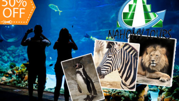 [Imagen:¡Paga $30 en vez de $60 por Paseo a Guatemala que incluye: Transporte + Entrada a Zoológico La Aurora + Visita a Nais Aquarium + Visita a Cayalá + Asistencia Migratoria + CD con Fotos del Tour + Snack en Nahomy Tours!  ¡Sólo 99 cupones disponibles!]