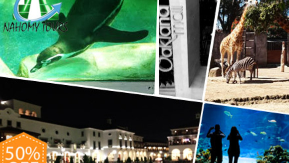 [Imagen:¡Paga $30 en vez de $60 por Paseo a Guatemala que incluye: Transporte + Entrada a Zoológico La Aurora + Visita a Nais Aquarium + Visita a Cayalá + Asistencia Migratoria + CD con Fotos del Tour + Snack en Nahomy Tours! ¡Sólo 199 cupones disponibles!]
