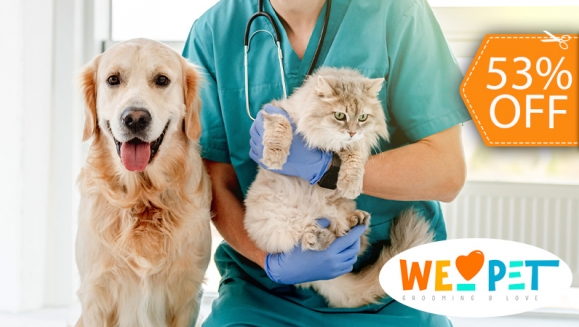 [Imagen:¡Paga $15 en Lugar de $32 Por Consulta Veterinaria + Desparasitación Interna para tu Mascota!]