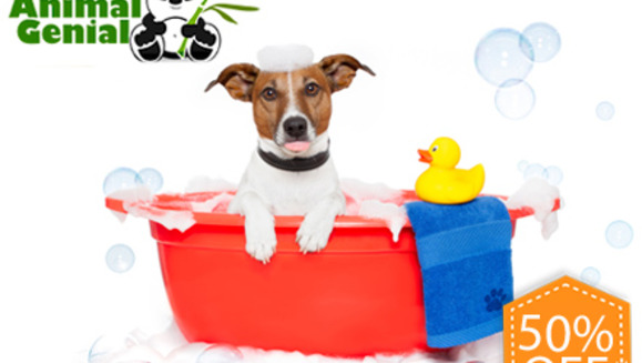 [Imagen:¡Paga Q75 en vez de Q150 por Grooming completo para tu mascota que incluye: Baño con Shampoo y Acondicionador Anti-alérgico + Corte + Secado + Cepillado + Limpieza de Glándulas y Oídos + Corte de Uñas y Perfumado + Moño o corbatín en Animal Genial!]