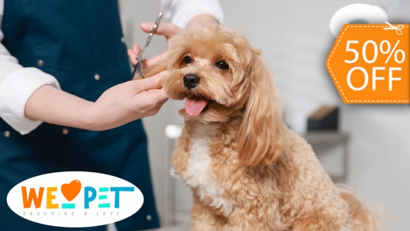 [Imagen:¡Paga $12.50 en Lugar de $25 Por Grooming para Mascota: Baño a Elección + Secado + Corte y Cepillado de Pelo + Corte y Limado de Uñas + Limpieza de Oídos + Limpieza de Glándulas Anales + Revisión Física +  15% de Descuento en Vacunación y Más!]