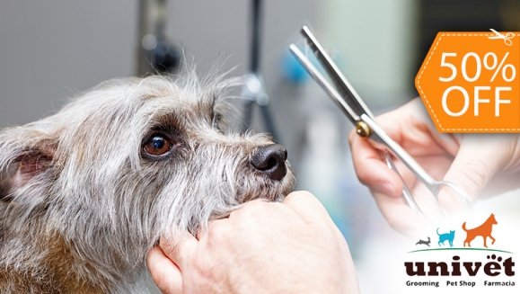 [Imagen:¡Paga $12.50 en Lugar de $25 Por Grooming para Mascota: Baño + Secado + Corte y Cepillado de Pelo + Limpieza de Oídos + Limpieza de Glándulas Anales + Cepillado Dental!]