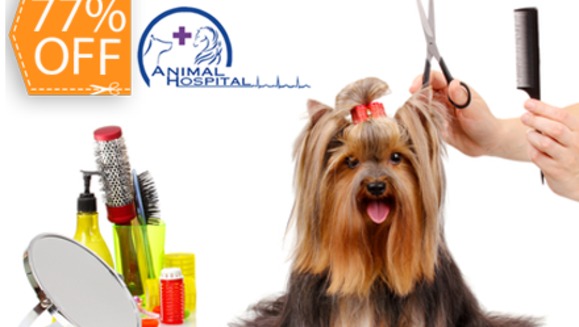 [Imagen:¡Paga $15 en lugar de $64 por 3 Paquetes de Grooming Completos para tu mascota en Animal Hospital!]