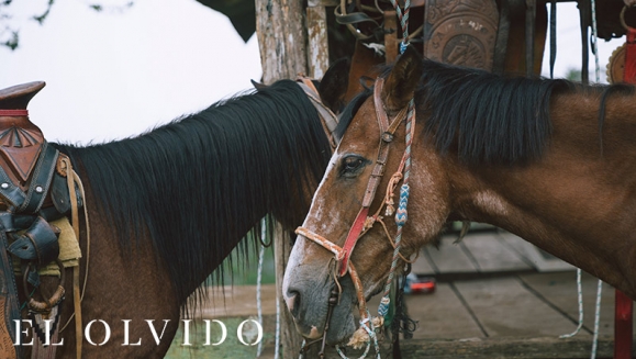 [Imagen:¡Paga Q399 en Lugar de Q900 por Estadía de 1 Noche para 4 Personas en Cabaña Equipada con Cocina + Uso de Instalaciones y Actividades de Montaña: Tour a La Piedra del Jardín, Ordeño, Pesca de Tilapia, Piscina Natural y Más!]
