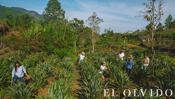 [Imagen:¡Paga Q699 en Lugar de Q1,500 por Estadía de 1 Noche para 6-8 Personas en Cabaña Equipada con Cocina + Uso de Instalaciones y Actividades de Montaña: Tour a La Piedra del Jardín, Ordeño, Pesca de Tilapia, Piscina Natural y Más!]