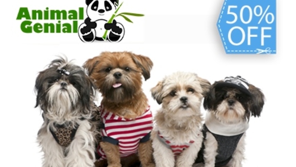 [Imagen:¡Paga Q75 en lugar de Q150 por Grooming Completo que incluye: Shampoo Antialérgico + Acondicionador + Corte, Secado y Cepillado + Limpieza de Glándulas y Oídos + Corte de Uñas y Perfumado + Moña o Corbatín en Animal Genial!]