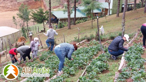 [Imagen:¡Paga $90 en Lugar de $180 por 1 Noche en Cabaña para 2 Adultos y 2 Niños o para 3 Adultos + Desayunos + Plato de Bocas y 2 Cervezas + Parrillada para 2 + 30 Minutos de Juegos de Mesa + Caminata en Bosque + Visita al Vivero de Hortalizas y Más!]