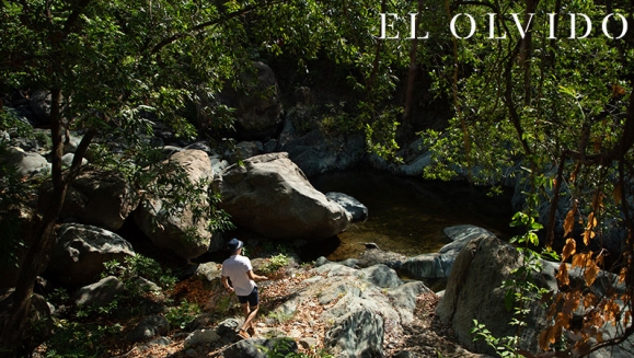 [Imagen:¡Paga Q699 en Lugar de Q1,500 por Estadía de 1 Noche para 2 Personas en Cabaña + 2 Desayunos + 2 Almuerzos + 2 Cenas + Uso de Instalaciones y Actividades de Montaña: Tour a La Piedra del Jardín, Ordeño, Pesca de Tilapia, Piscina Natural y Más!]