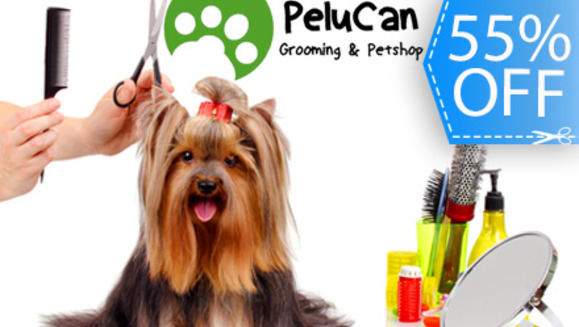 [Imagen:¡Paga Q59 en lugar de Q130 por Grooming Completo para tu Mascota que incluye: Baño con Shampoo Anti-Pulgas + Limpieza de Glándulas + Corte de Pelo + Corte de Uñas + Limpieza de Oídos + Perfume + Moña o Pañuelo en PeluCan!]