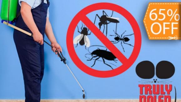 [Imagen:¡Extermina el Dengue y la Chikungunya! ¡Paga $23 en lugar de $65 por Control de Plagas e Insectos Voladores y Rastreros + 1 Litro de Desinfectante y Repelente de Insectos Voladores con Truly Nolen!]