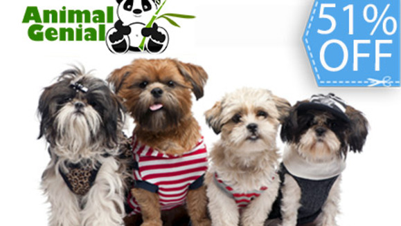 [Imagen:¡Paga Q79 en lugar de Q160 por Grooming Completo que incluye: Shampoo Antialérgico + Acondicionador + Corte, Secado y Cepillado + Limpieza de Glándulas y Oídos + Corte de Uñas y Perfumado + Moña o Corbatín + 1 Galletita en Animal Genial!]