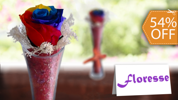 [Imagen:¡Paga $16 en vez de $35 por Arreglo de Rosa Preservada en Elegante Florero de Cristal en Floresse Flores y Jardines! ¡SÓLO 153 CUPONES DISPONIBLES!]