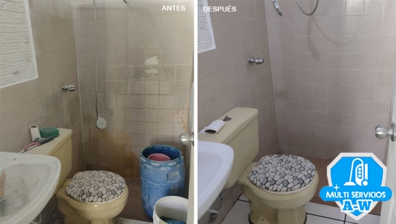 [Imagen:¡Paga $30 en Lugar de $60 por Limpieza y Desincrustación Profunda de Baño: Ducha, Inodoro, Lavamanos y Piso!]