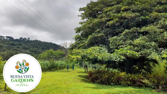 [Imagen:¡Paga $30 en Vez de $60 por Camping al Aire Libre para 2 que Incluye: 2 Entradas al Ecoparque + 1 Tienda de Campaña + 2 Colchonetas + 2 Desayunos + 2 Cenas + Fogata + Guía de Senderismo y Tour Básico de Café + Piscina y Más! ¡Solo 103 Disponibles!]