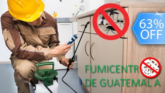 [Imagen:¡Paga Q299 en vez de Q799 por Servicio de Fumigación de Plagas hasta en 15 Ambientes + Tratamiento para Jardín + Tratamiento para Alcantarillas y Drenajes + Aspersión y Tratamiento de Ácaros en 2 Colchones con FumiCentro!]
