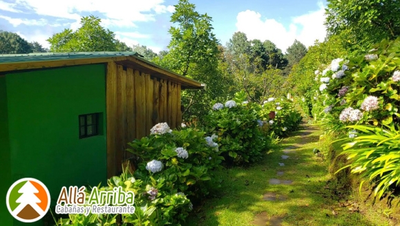 [Imagen:¡Paga $50 en Lugar de $105 por 1 Noche en Cabaña para 2 Adultos y 2 Niños o para 3 Adultos + Desayunos Continentales + 30 Minutos de Juegos de Mesa + Caminata en Bosque + Visita al Vivero de Hortalizas + Entretenimiento y Más!]