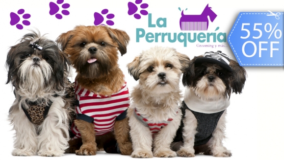 [Imagen:¡Paga Q59 en vez de Q130 por Grooming Completo para Mascota que incluye: Baño + Corte + Cepillado + Secado + Corte de Pelo + Corte de Uñas + Limpieza de Glándulas y Oídos + Moño o Pañuelo + Galleta en La Perruquería!]