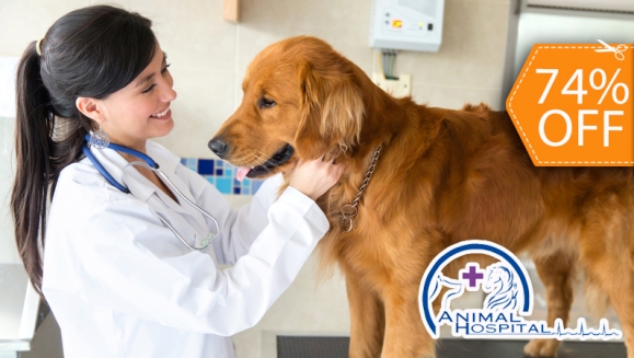 [Imagen:¡Paga $15 en vez de $56.75 por Chequeo Veterinario + Vacuna Antirrábica o Desparasitación + Hemograma + Baño y Más en Animal Hospital!]