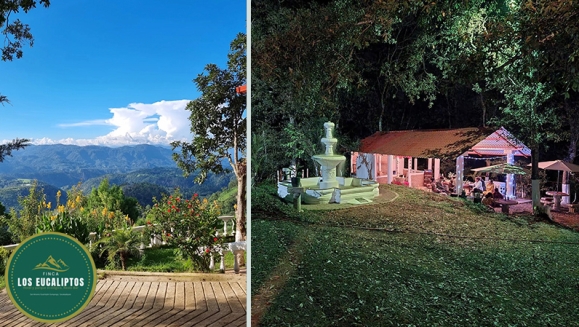 [Imagen:¡Paga Q99 en Lugar de Q295 por Camping para 4 con: 4 Desayunos Típicos o de Pancakes + 4 Bebidas a Elección (Café, Jugo de Naranja o Jamaica) + Uso de Instalaciones y Actividades de Montaña: Senderismo, Puentes, Hamacas, Granjita!]