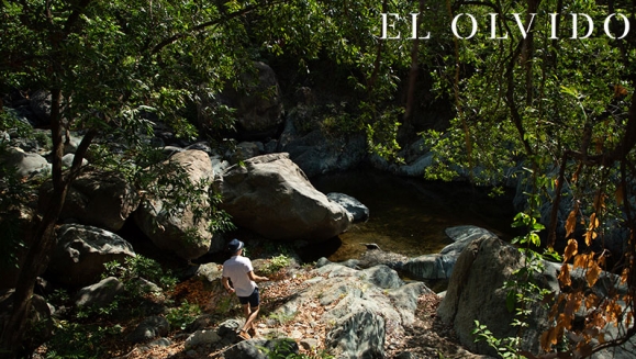 [Imagen:¡Paga Q499 en Lugar de Q900 por Estadía de 1 Noche en Cabaña para hasta 4 Personas con Desayunos Incluidos + Uso de Instalaciones y Actividades de Montaña: Tour a La Piedra del Jardín, Ordeño, Pesca de Tilapia, Piscina Natural y Más!]