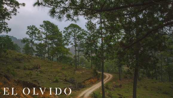 [Imagen:¡Paga Q499 en Lugar de Q900 por Estadía de 1 Noche en Cabaña para hasta 4 Personas con Desayunos Incluidos + Uso de Instalaciones y Actividades de Montaña: Tour a La Piedra del Jardín, Ordeño, Pesca de Tilapia, Piscina Natural y Más!]